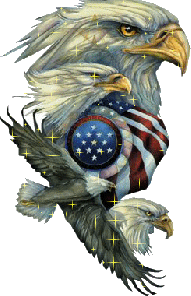 USA ~ EAGLE & FLAG Mov Gif 04FEB14